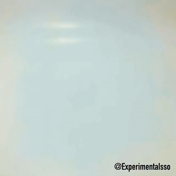 🇧🇷Amo Paçoquita (presente de 3 anos de @experimentaisso)