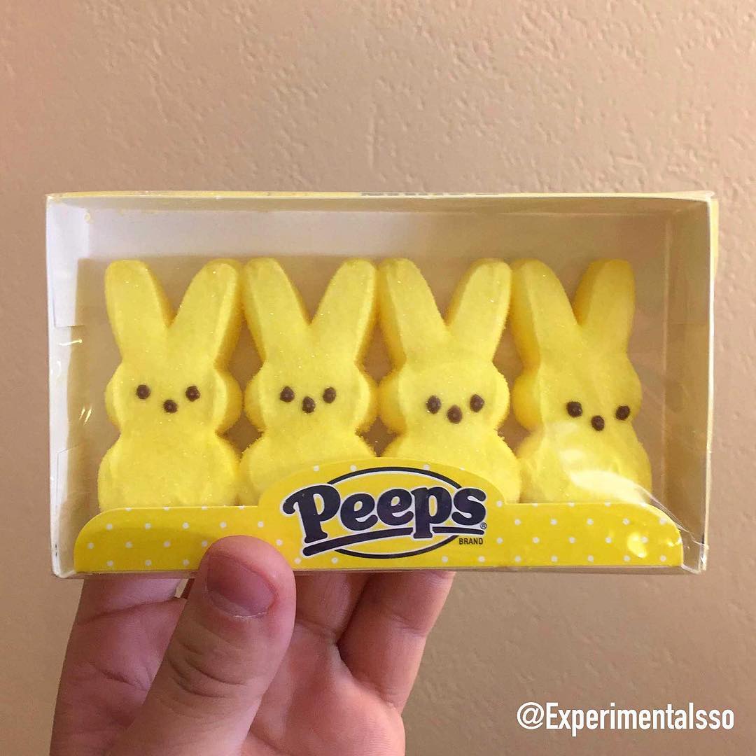 🇺🇸Peeps Bunny🐇