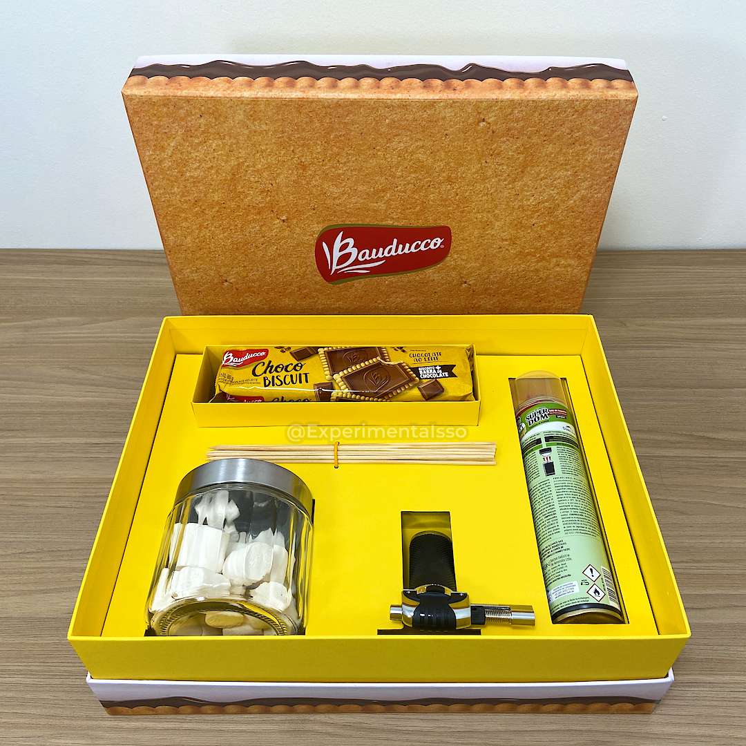 Recebidos Bauducco S’mores